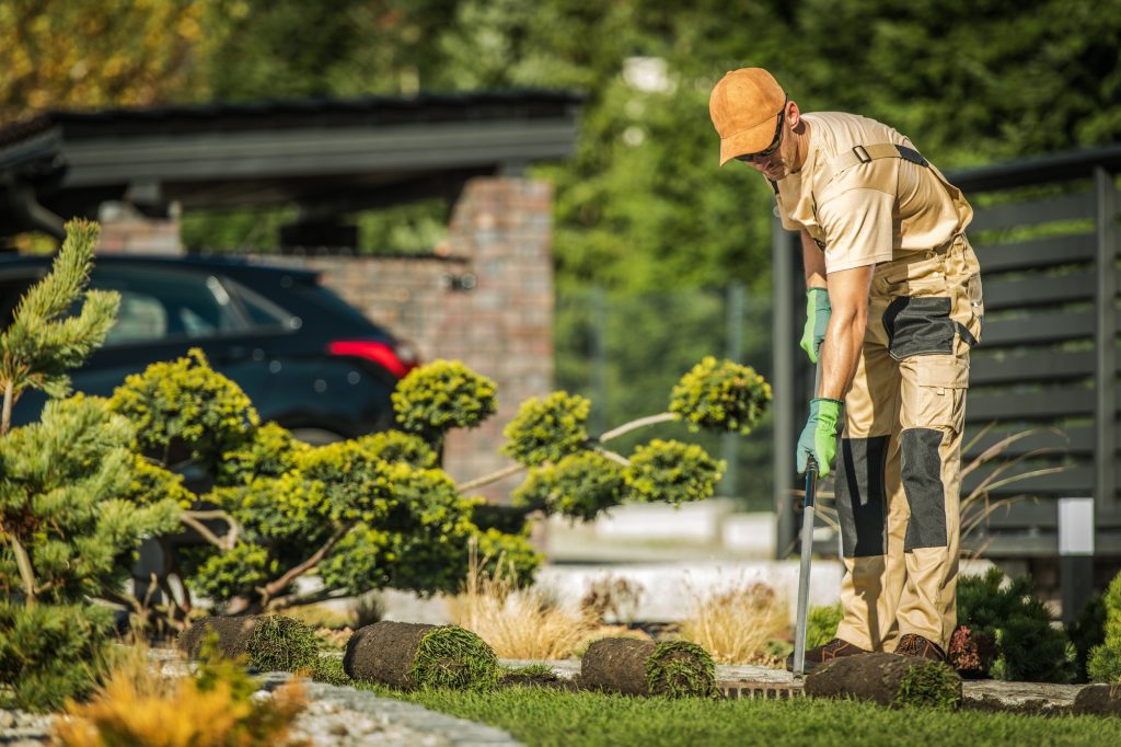 Landscaping Practices