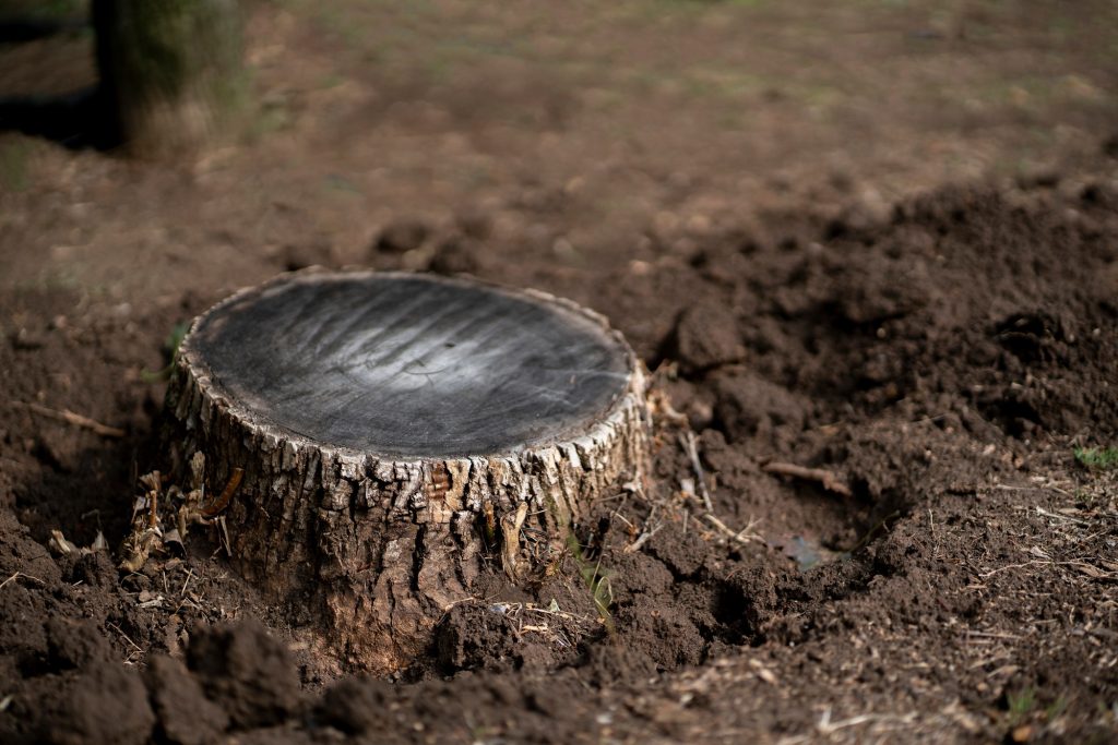stump grinding North West UK