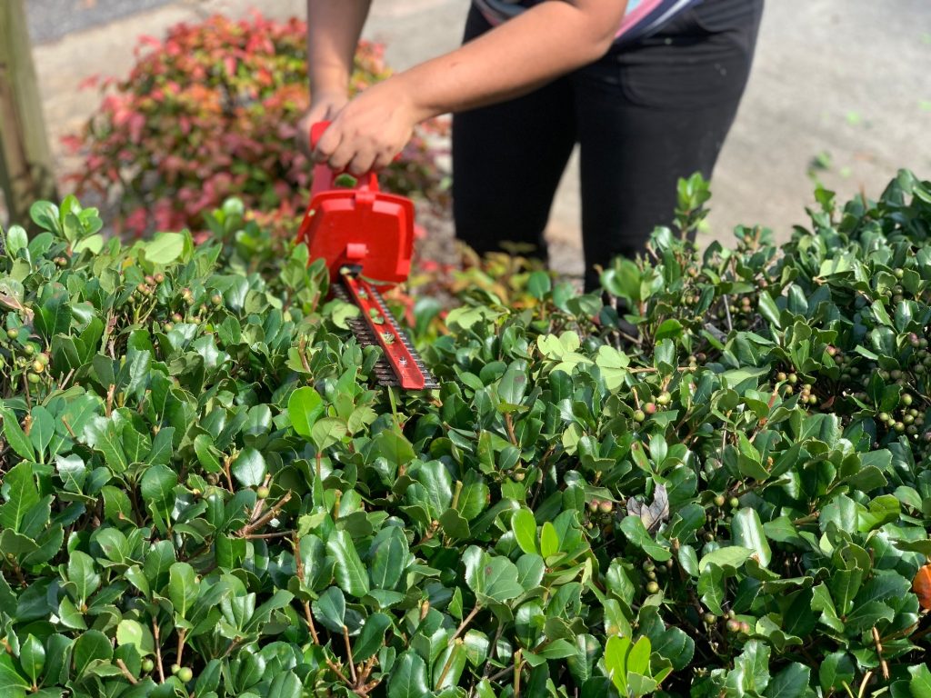 hedge trimming North West UK