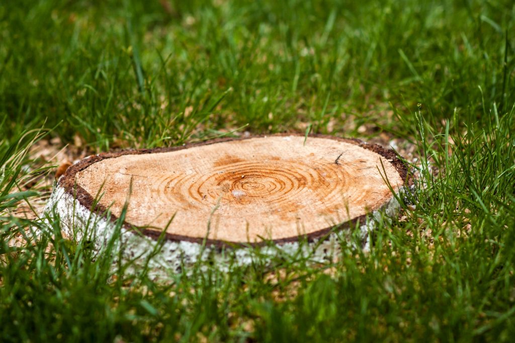 stump grinding North West UK