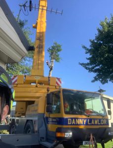 Awkward Tree Removal