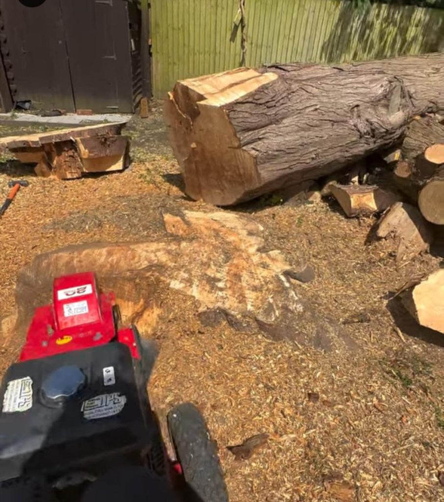 stump grinding & hedge trimming services.